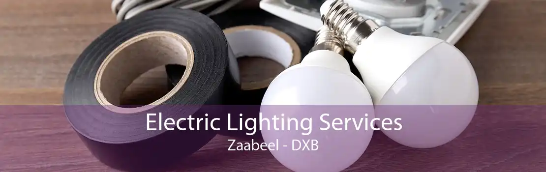 Electric Lighting Services Zaabeel - DXB