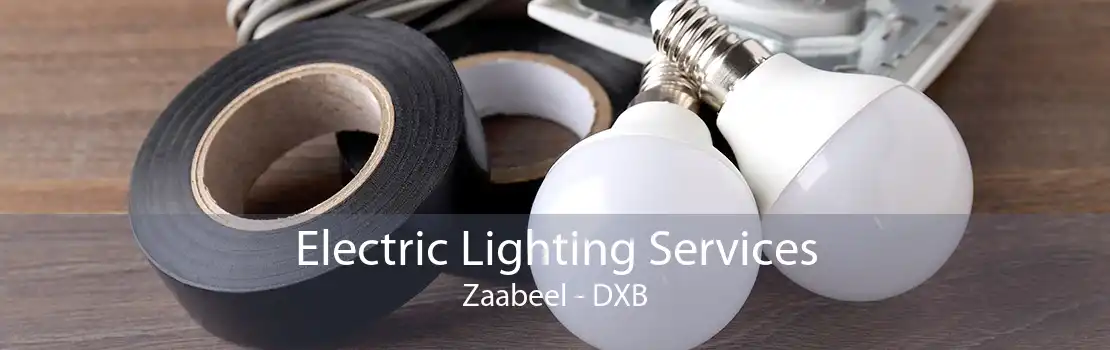 Electric Lighting Services Zaabeel - DXB