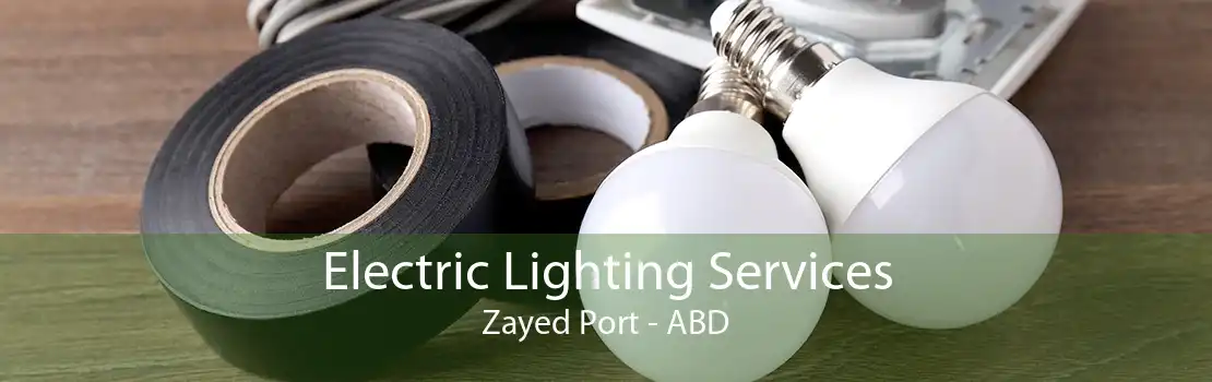 Electric Lighting Services Zayed Port - ABD