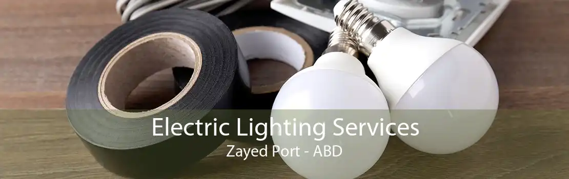 Electric Lighting Services Zayed Port - ABD