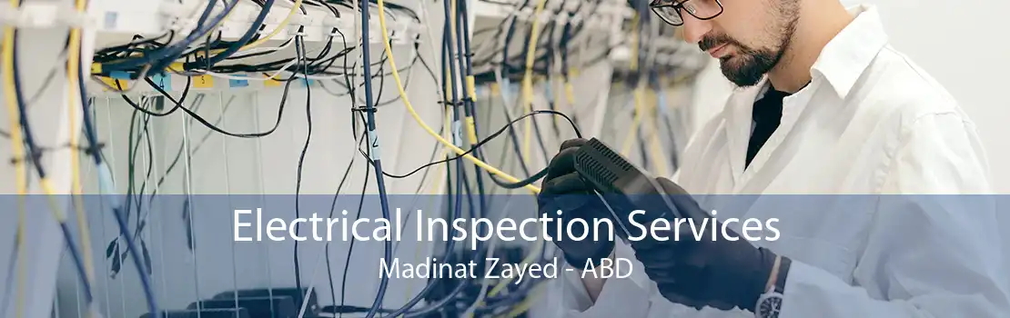 Electrical Inspection Services Madinat Zayed - ABD