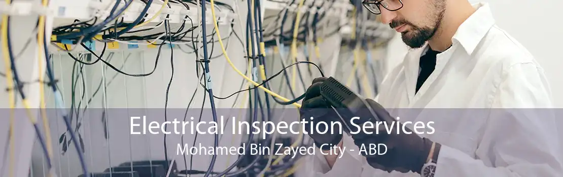 Electrical Inspection Services Mohamed Bin Zayed City - ABD