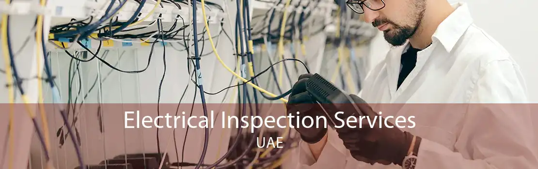 Electrical Inspection Services UAE