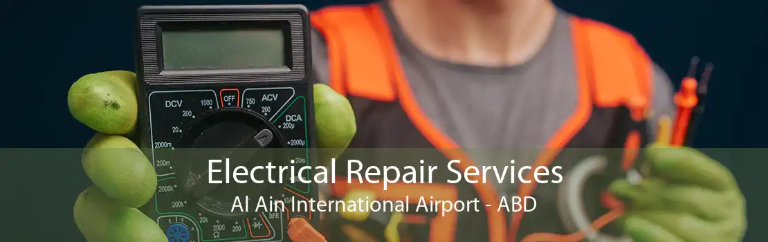 Electrical Repair Services Al Ain International Airport - ABD