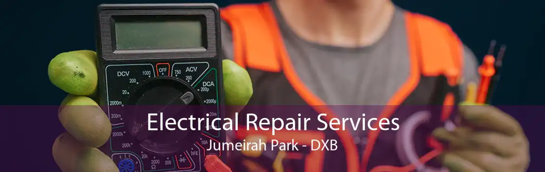 Electrical Repair Services Jumeirah Park - DXB
