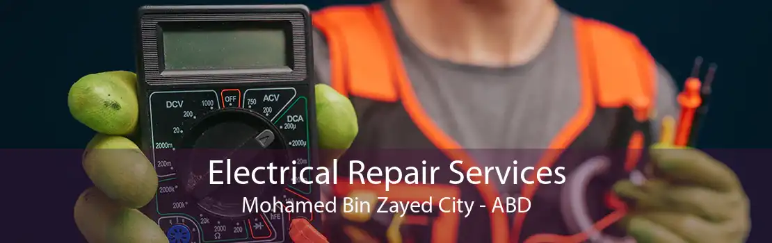 Electrical Repair Services Mohamed Bin Zayed City - ABD