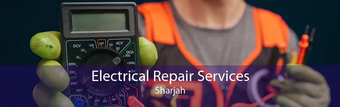 Electrical Repair Services Sharjah