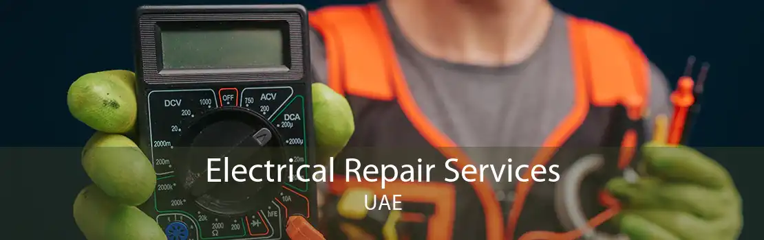 Electrical Repair Services UAE