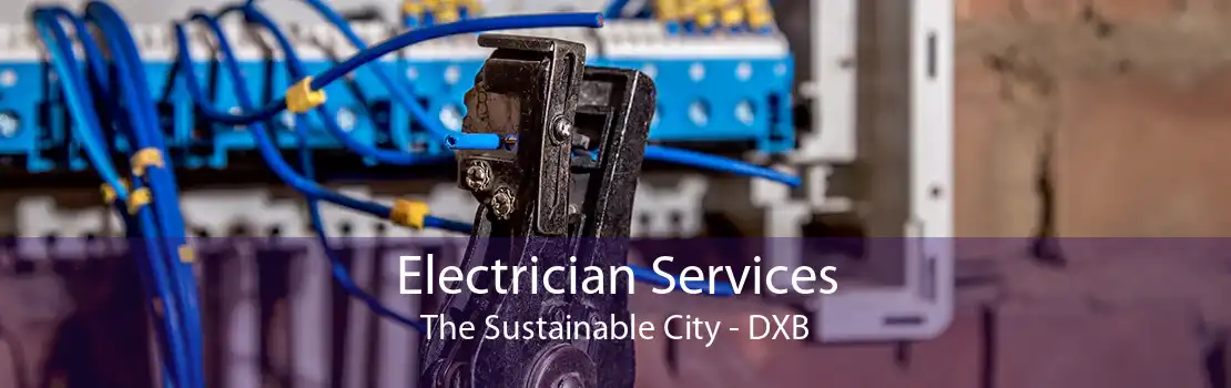 Electrician Services The Sustainable City - DXB