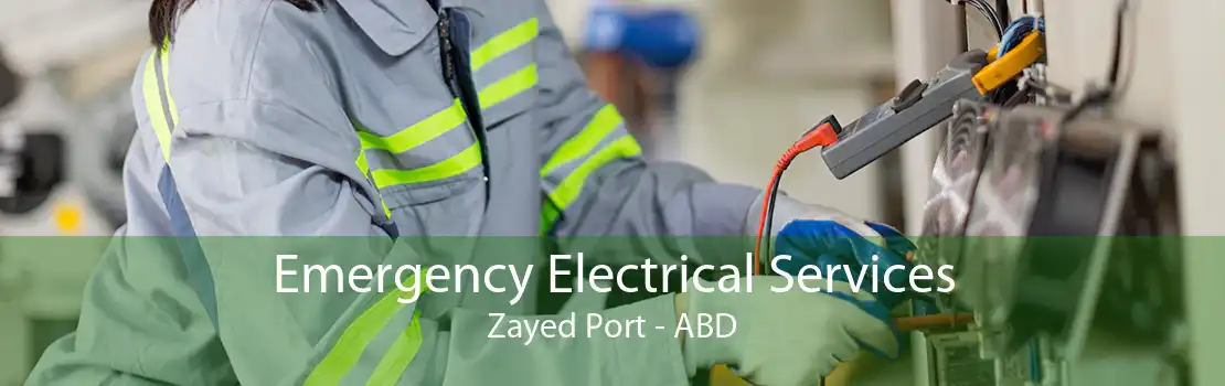 Emergency Electrical Services Zayed Port - ABD